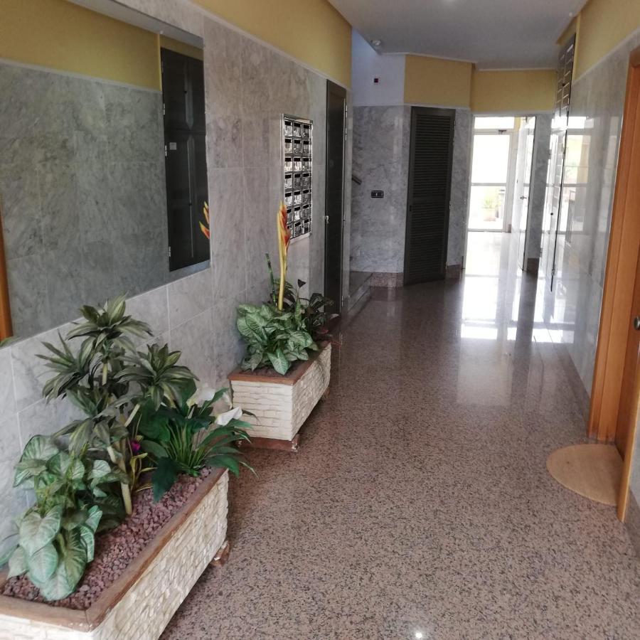 Apartamento A 50 Metros De La Playa Muchavista Ел Кампело Екстериор снимка